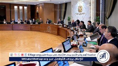 مدبولي: سداد 7 مليارات دولار من الديون المستحقة خلال نوفمبر وديسمبر الجاري