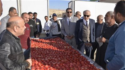 محافظ الأقصر يتفقد مجمع الصناعات الغذائية بإسنا.. ويشيد بتجربة تجفيف الطماطم وتصديرها للخارج