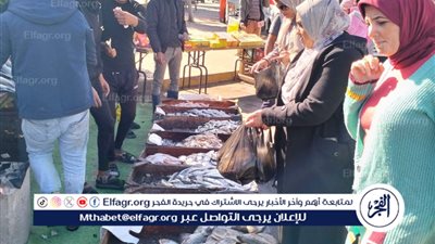 وكيل وزارة التموين يعلن عن جدول ومواقع إقامة أسواق اليوم الواحد بمحافظة الإسكندرية 