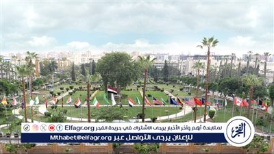 المنصورة تحقق المركز الأوَّل بَيْن الجامعات الحكومية في مجال محو الأمية للمرة الرابعة على التوالي