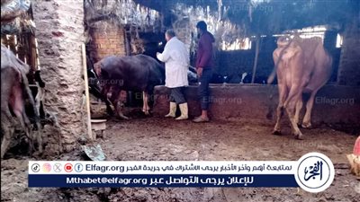 محافظ الدقهلية: تحصين وكشف وعلاج أكثر من 4 آلاف رأس ماشية وطيور وأشعة سونار 
