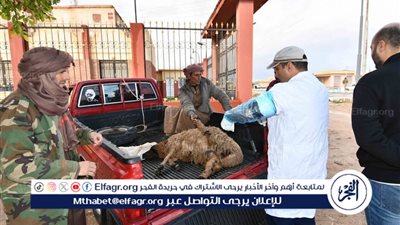 القافلة الطبية البيطرية بمدينة النجيلة بمطروح
