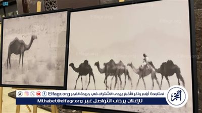  65 فنانًا يبدعون في معرض 