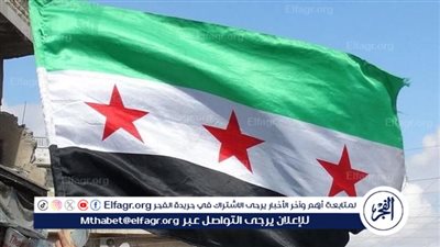 محلل سياسي يُطالب بعقد مؤتمر وطني لإعادة بناء سوريا (فيديو)