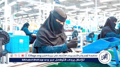  الجهاز المركزي للاحصاء: 98% من الوظائف الشاغرة بالقطاع الخاص عام 2023