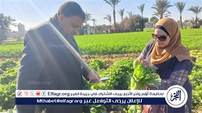 فريق الإرشادي البحثي بالفيوم يقوم بزيارة حقول محاصيل الطماطم والفول والخس