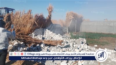 إزالة 1206حالة تعدي على أراضى زراعية فى أسيوط خلال 2024 