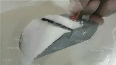 بحضور المحافظ.. مصنع سكر أبو قرقاص بالمنيا يطلق باكورة إنتاج مع بداية موسم توريد القصب