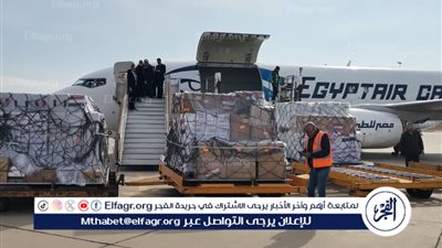 عاجل.. وصول طائرة مساعدات مصرية إلى دمشق