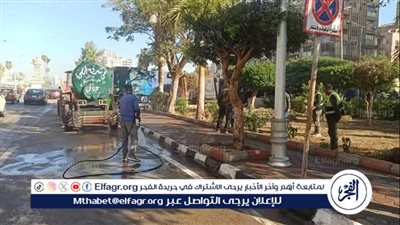 محافظ الدقهلية: رفع 870 طن مخلفات بلدية وأتربة وناتج تقليم أشجار بالمنطقة المركزية