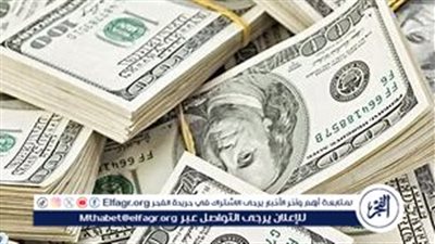 سعر الدولار مقابل الجنيه المصري اليوم الأحد 5 يناير 2025: استقرار بعد تراجعات ملحوظة للجنيه