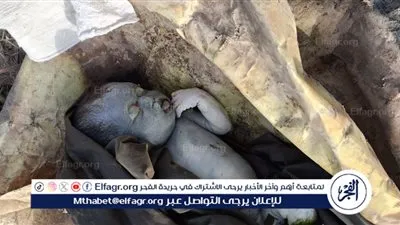 العثور على جثة طفل حديث الولادة طافية ببحر وهبي في الفيوم