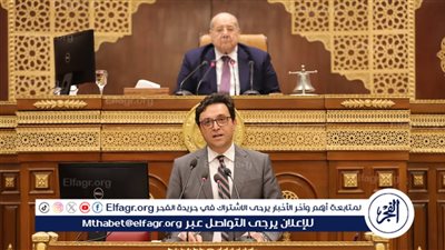 «أهمية إصدار تشريع يسمح بدخول القطاع الخاص».. أبرز تصريحات وزير الثقافة أمام مجلس الشيوخ