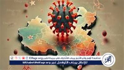 بعد تحذير التعليم.. ماذا نعرف عن فيروس الميتانيمو