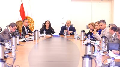 وزيرا التضامن الاجتماعي والعمل يترأسان اجتماع اللجنة التشريعية لإعداد مشروع قانون العمالة المنزلية