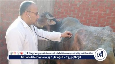 محافظ الدقهلية: تحصين وكشف وعلاج أكثر من 12 ألف رأس ماشية وطيور وأشعة سونار 