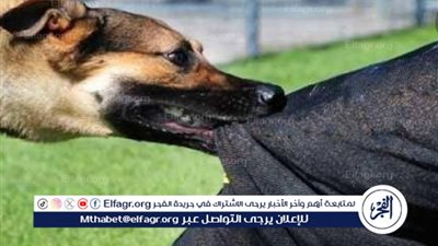 بالأسماء..كلب يهاجم 14 شخصًا في محافظة المنيا
