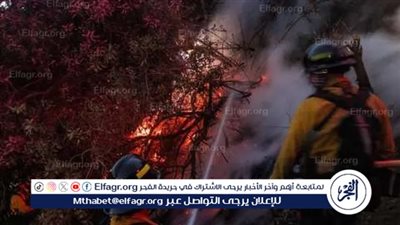 عاجل - اعرف قصة أكثر حرائق الغابات الأمريكية رعبًا في التاريخ