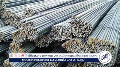 سعر الحديد والأسمنت اليوم الأحد 12 يناير 2025