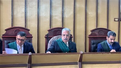 بسبب صنبور مياه.. المؤبد لقاتل جاره بـ سكين ببورسعيد