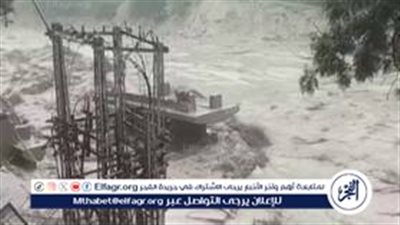 خبيرة تغير مناخي: البطريق من الحيوانات المهددة في القارة الجنوبية بسبب انحسار الجليد