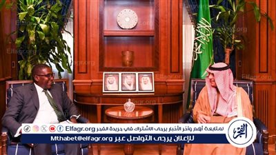 الجبير يستقبل مستشار أمين عام الأمم المتحدة للعمل المناخي