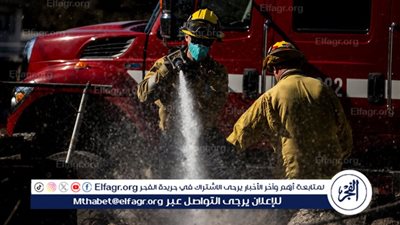 حريق بمزرعة دواجن بقرية الفراسة في الفيوم 