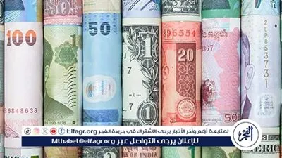 استقرار ملحوظ لأسعار العملات أمام الجنيه المصري في 19 يناير 2025