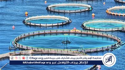 هيئة الاستشعار من البعد:إنشاء خريطة استثمارية للاستزراع الأحيائي في البحر الأحمر