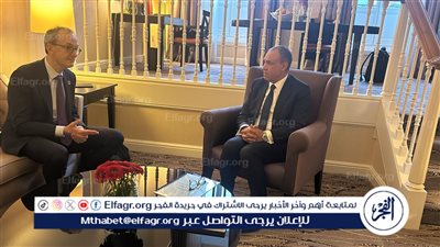 وزير الخارجية يدعو الشركات للاستفادة من الحوافز الاستثمارية والمزايا التنافسية في مصر