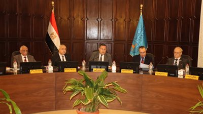 إنشاء فرعين دوليان لجامعة الإسكندرية ومستشفى لأطفال