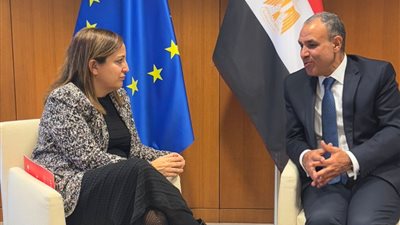 وزير الخارجية والهجرة يلتقي رئيسة مجموعة الاشتراكيين والديمقراطيين بالبرلمان الأوروبي