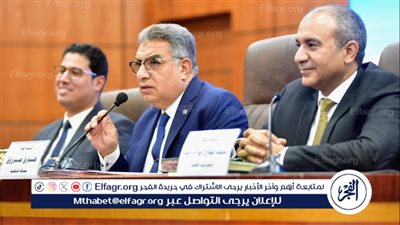 محافظ الدقهلية لـ المجلس التنفيذي: الانتهاء من توصيل الكهرباء بقرية العاصية بنبروه خلال 48 ساعة 