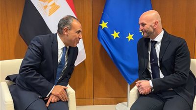 وزير الخارجية والهجرة يلتقي رئيس مجموعة المحافظين الإصلاحيين