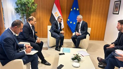 في لقاءات منفصلة.. وزير الخارجية والهجرة يلتقي نواب البرلمان الأوروبي مقرري المجموعات السياسية المختلفة