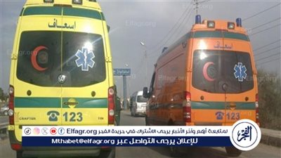 مصرع شخصين في حادث تصادم بين شاحنة وسيارة نصف نقل بالفيوم 