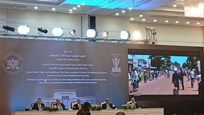 رئيس المحكمة الدستورية: المشاركة الواسع في اجتماع القاهرة تعكس صدق الغايات للتعاون المشترك