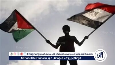 كاتب صحفي: موقف مصر ثابت وراسخ تجاه دعم القضية الفلسطينية