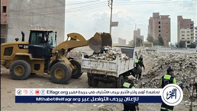 بقرار من محافظ الدقهلية...توزيع 30 حاوية جديدة لجمع القمامة بمنطقة الزعفران وابن زيد والحسيني 