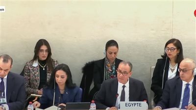 وزير الخارجية: مصر تحقق تقدمًا في حقوق الإنسان بإرادة سياسية قوية