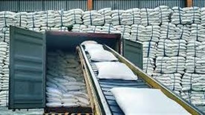 عاجل | مصنع أبو قرقاص يعود لإنتاج السكر من البنجر بعد انتهاء المورّد من 