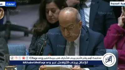مندوب مصر لدى مجلس الأمن: 