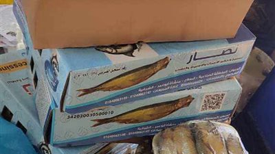 حماية المستهلك تقدم نصائح هامة للمواطنين عند شراء الرنجة بعد ضبط كميات مجهولة المصدر ببورسعيد