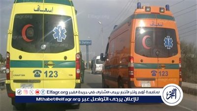 إصابة 14 مواطنًا في انقلاب ميني باص بطريق «القاهرة - الفيوم» الصحراوي