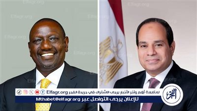 خبير يكشف أهمية توقيع مذكرات التفاهم بين مصر وكينيا