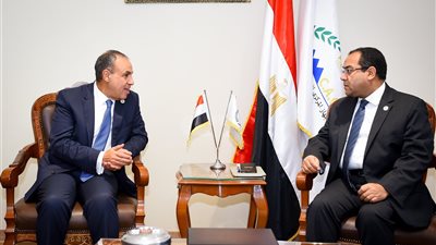 وزير الخارجية والهجرة يلتقي رئيس الجهاز المركزي للتنظيم والإدارة