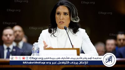 تولسي غابارد: الغزو الأمريكي للعراق استند إلى الأكاذيب