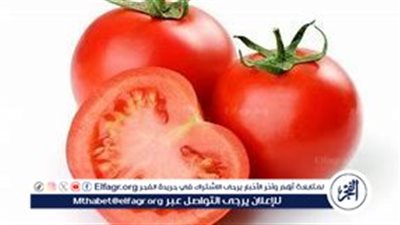 استشاري تغذية: العفن في الطماطم يسبب أمراضًا خطيرة أبرزها سرطان الكبد