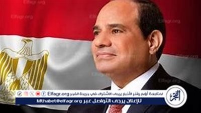 بسمة وهبة: دعم مستخدمي تيك توك للرئيس السيسي 