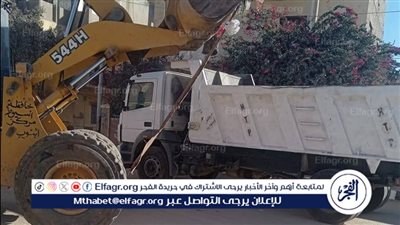 محافظ أسيوط: رفع 100 طن مخلفات بمركز أبنوب